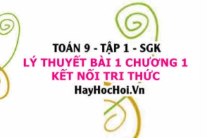 Lý Thuyết Toán 9 Bài 1: Phương Trình và Hệ Phương Trình Bậc Nhất Hai Ẩn (Kết Nối Tri Thức)